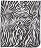 009243491934 Cotton Love Print Fleece Blanket Zebra