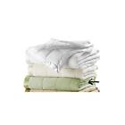 025695016938 King Sagealternative Microfiber Unbranded Blanket