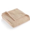 025695890170 Ralph Lauren Twin Premium