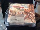 042973239551 Beacon Stallions Blanket Twin-full