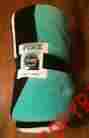0667540147031 Victoria S Secret Pink Victorias 2015 Limited Edition Plush Mint Super Soft Blanket Nwt
