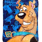 087918182691 The Northwest Company Scooby