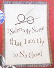087918523692 Warner Bros New Harry Potter Solemnly Swear Throw