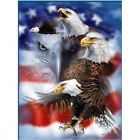 092723010459 Signature Collection Eagles Find Plush Queen Size Blanket