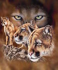 092723042573 10 Cougars Signature Collection