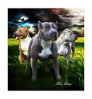 1 Generic Heavy Kg Thick Soft Thunder Lightning Pitbulls 741459041793
