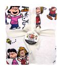 1018640623 Berkshire Blanket Peanuts Snoopy And The Gang Twin Velvet Soft