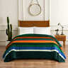 1437302 Pendleton Sherpa Blanket Size King Evergreen Stripe In 008889223916