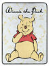 1wph-65900-0001ret The Northwest Company Disney Winnie Pooh Silly Bear 190604177472