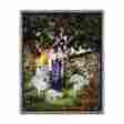35236911 Psalm Pure Country Decorative 23 Image Woven Throw Blanket 54 X70 Textured Look 666576018339
