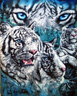 3913701 Jp Imports White Tigers Throw Blanket Decorative Fleece 092723042658