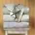 40007 Queen Blanket Pacific Coast White