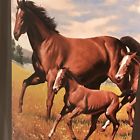 430000849925 Rachelle Throw Blanket Horses Colts Western Extra Long