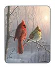 4340991070 Generic Queen Size Winter Cardinal Mink Blanket