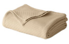 50481 Cotton Craft 100 Soft 011631504812