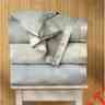 54335 Blue Coast Pacific Blanket Ice Full