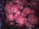 546783452 Ctghy Handmade Fleece Tie-blanket Basketballs Black Layer 60 48