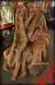 5x6ltwolfthrow 5x6lwtb Fur Accents Throw Blanket Coyote Wolf Faux Minky Lined 5 X 6 Bear Skin