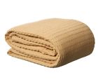 603981630428 Unbranded Gold Cotton Blanket Full Queen Size Medium