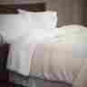 61-83-t-v Lavish Home Floral Etched Fleece Blanket With Sherpa Twin Vanilla Cream 886511520387