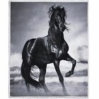 65416.wuz.03di Boutique Collection New Photoreal Horse