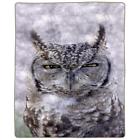 66-b-owl Lavish Home Plush Gray Owl Design Blanket Queen Warm Cozy