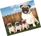 685413017069 Jm Blankets Pug Dogs In The Yard Fleece