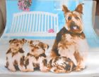685413017076 Unbranded New Soft Yorkie