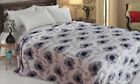 711978436905 Fiona New Micro Plush Blanket Full Blue