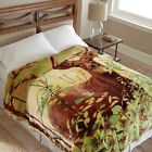 718498091850 Shavel Buck Deer Print Soft Thick Plush Blanket