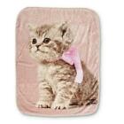 718498952199 Shavel Hi Pile Super Plush Throw Blanket Kitten