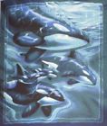 747443994458 Unbranded New Orca Killer Whale Family Painting Thin