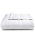 750105137148 Charter Club European White Down Blanket King