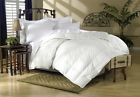 750105153186 Primaloft Luxury Comforter Full Queen