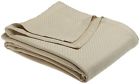 7810 Sferra Opera Beige Twin