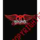 79647-1 Rockabilia Aerosmith Plush Blanket 888700532201