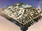 818314009851 Unbranded Snow Cat Leopard