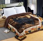 846918036997 Ahf Blanket With Sherpa Royalty