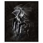 885165135763 Signature Collection Silver Dragon