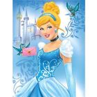 889459016363 Disney Princess Cinderella Royal Plush Raschel Throw Blanket