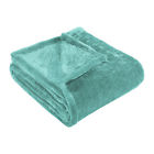 889954160233 Blue Nile Mills Micro Polyester Fleece Blanket Twin