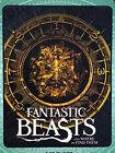 91854 Northwest Fantastic Beasts Super 087918908956