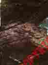 98393 Dennis Basso Home 2 Faux Furs Throw By Dark Brown