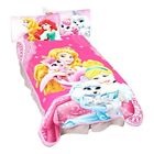 A4143c  Disney Princesses Palace Pets Wonderful Love Microraschel Blanket 885286856769