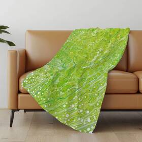 Asb50 Addison Rugs 705353994678 Premium Machine Washable Clover 50 Inch X 70 Sherpa Throw Blanket