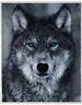 Ak2109269 Machine Washable Wolf Green Eyed Photo Real Sherpa Throw Blanket