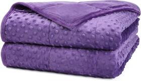 Wblanketc113 Alomidds Weighted Blanket Luxury Velvet 41x60 7lbs A Purple