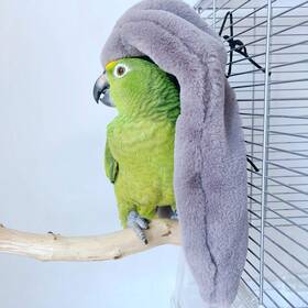 140-wmh-lpl2011173-grey-l Bbddkeg Corner Fleece Bird Blanket For Cage Cozy Birds Parrot S