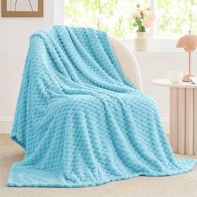 Beusc1pd2l9tw Bedelite Fleece Blanket Twin Size For Bed Couch 3d Jacquard Decorative Light Blue Thr
