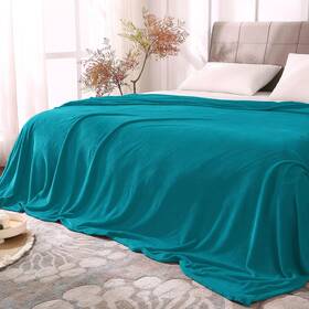 Beusc1sdl6qu Bedelite Fleece Blankets Queen Size Bluebird Throw For Bed Luxury P